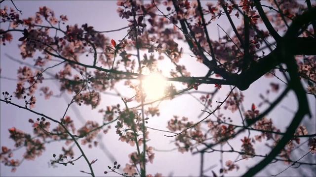 Просто напишите эти 4 цифры красной ручкой на ладони. Результат шокирует.