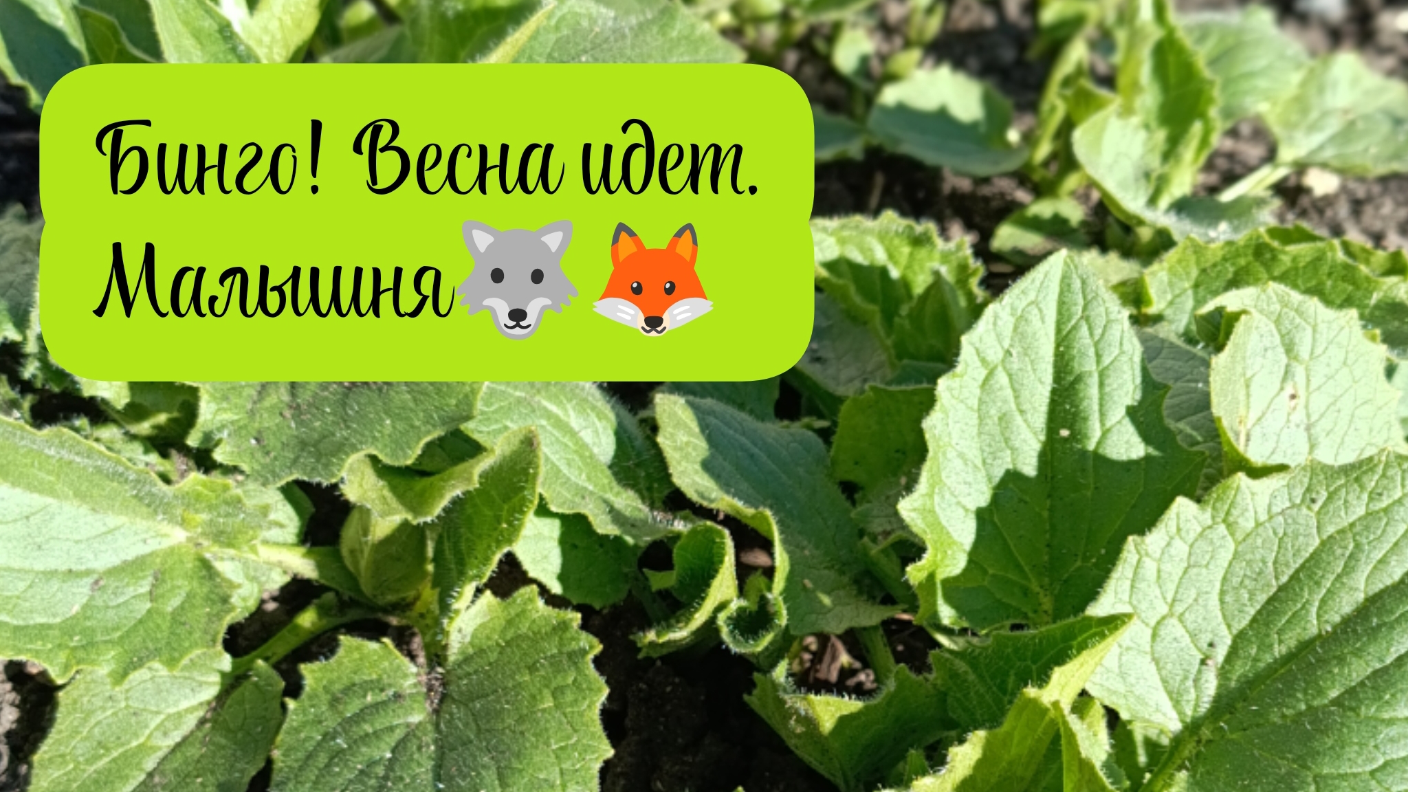 Вязальная активность 