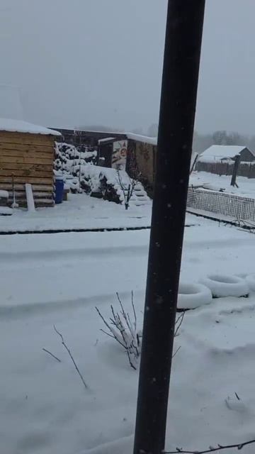 Сегодня буду готовить подливку 😋  #рецептгуляша #гуляшь #гуляшьсговядиной #гуляшизговядины