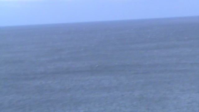 34)Э ЛАСТОЧКИНОЕ ГНЕЗДО