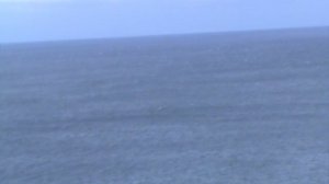 34)Э ЛАСТОЧКИНОЕ ГНЕЗДО