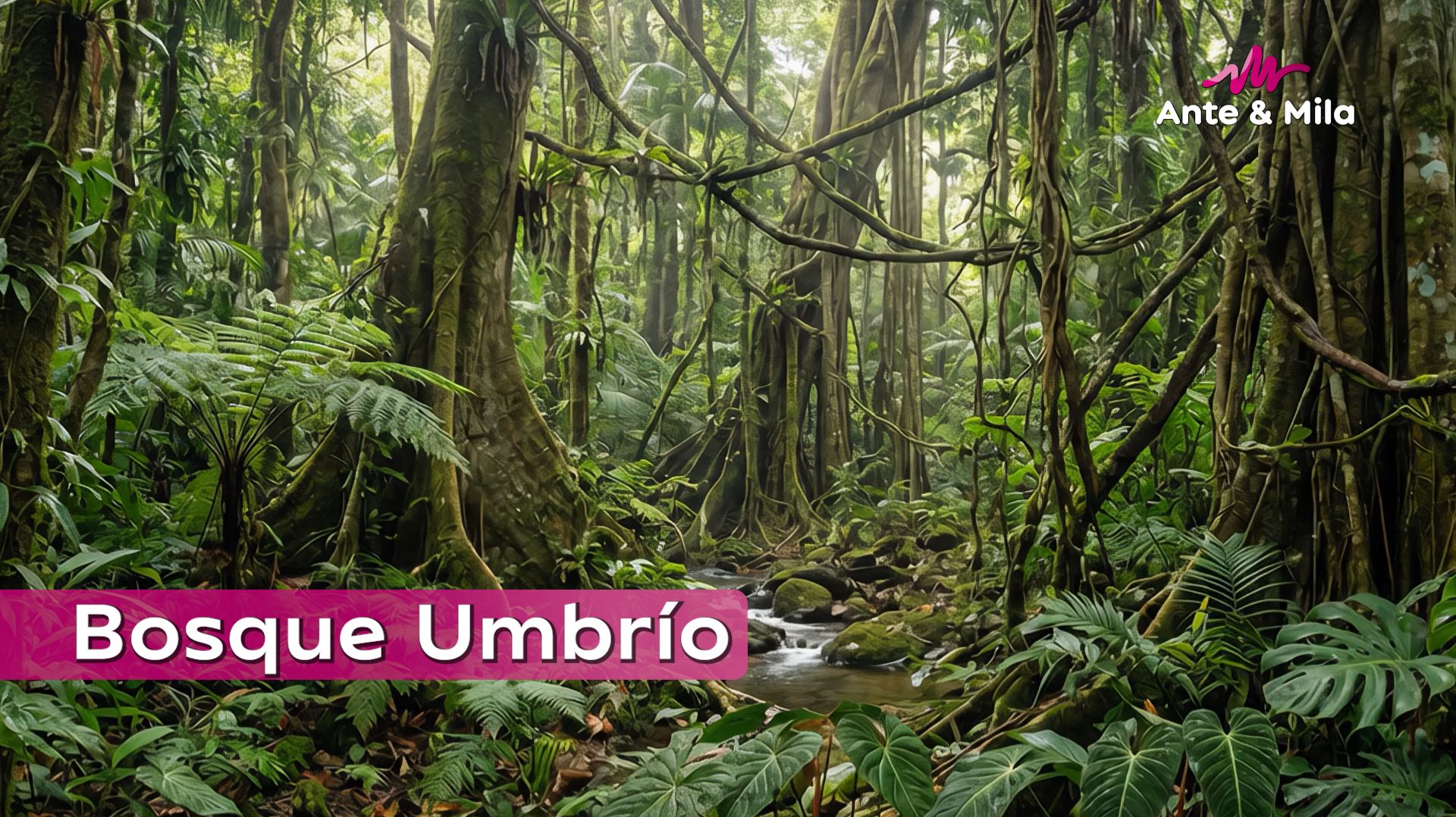 Ante & Mila - Bosque Umbrío