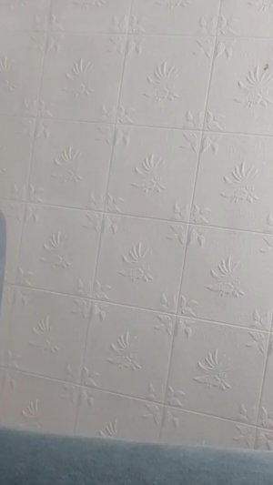 я вас понял