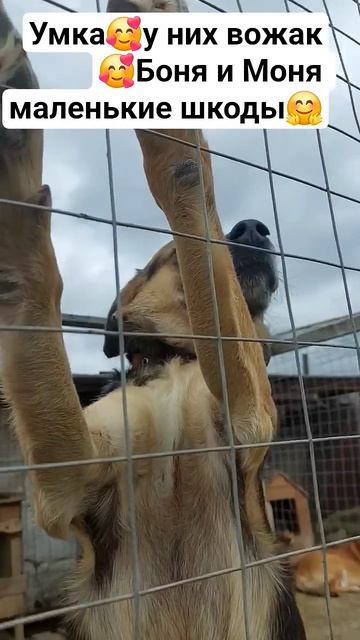 20 апреля 2026 г.