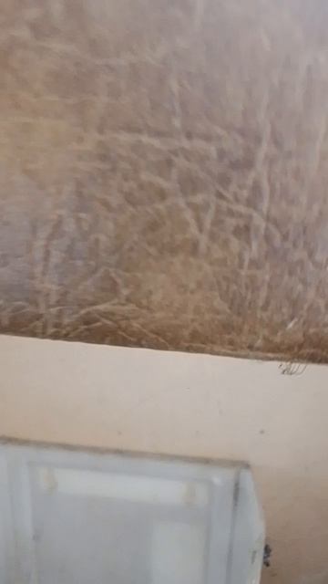 Трон соседа. Сидит нога на ногу обычно  - приценивается. Спасите из коммуналки! Сб 5336690144598952