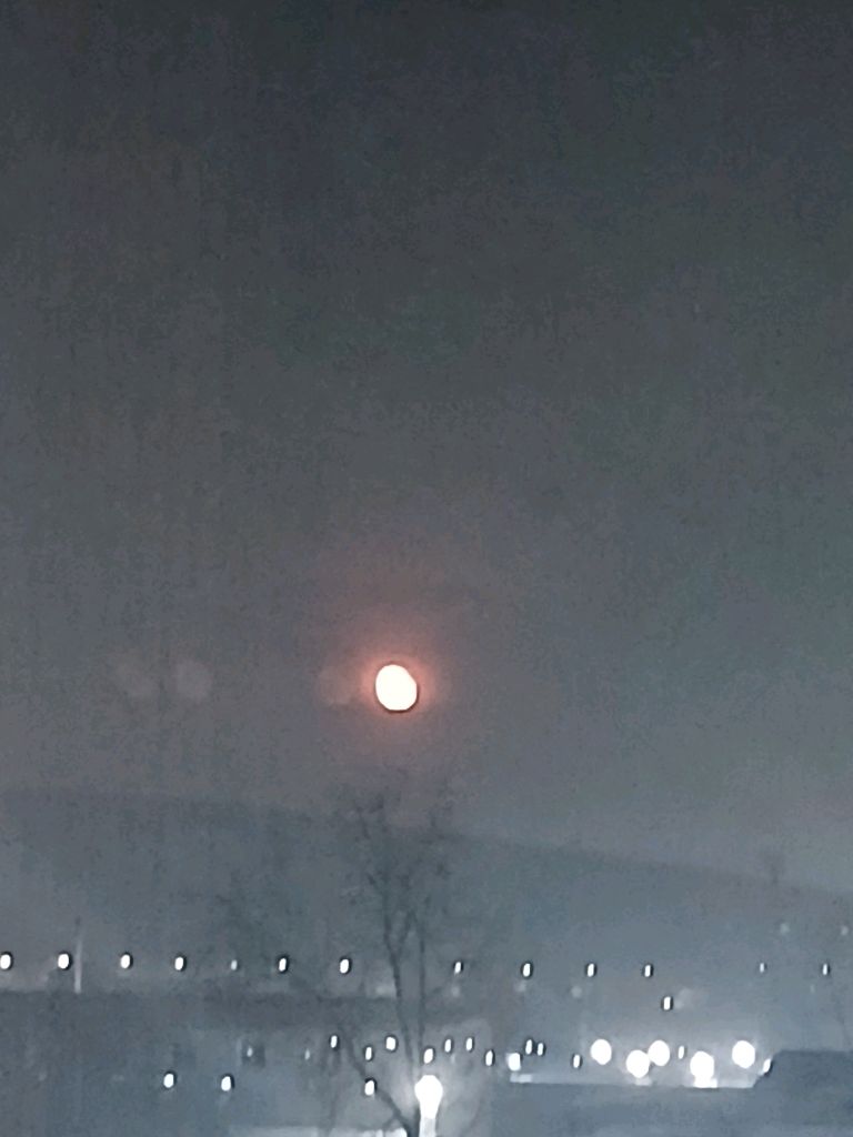 я хз что делаю