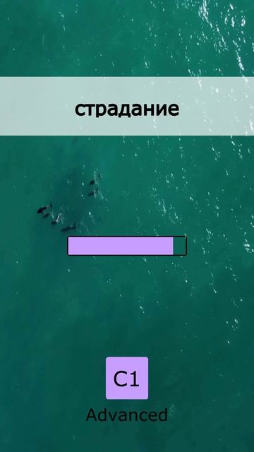 A1: 5 English Words (Test)