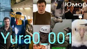 Мемы! Юмор до слёз. От Yura0_001!😉🔥❤️🤣😂 Стрижка попугая, СССР, современные животные, котики!😄🫡