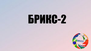 Организация БРИКС