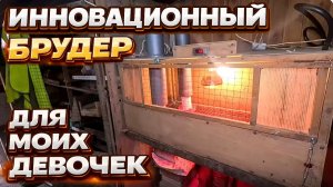Инновационные брудер для моих девочек