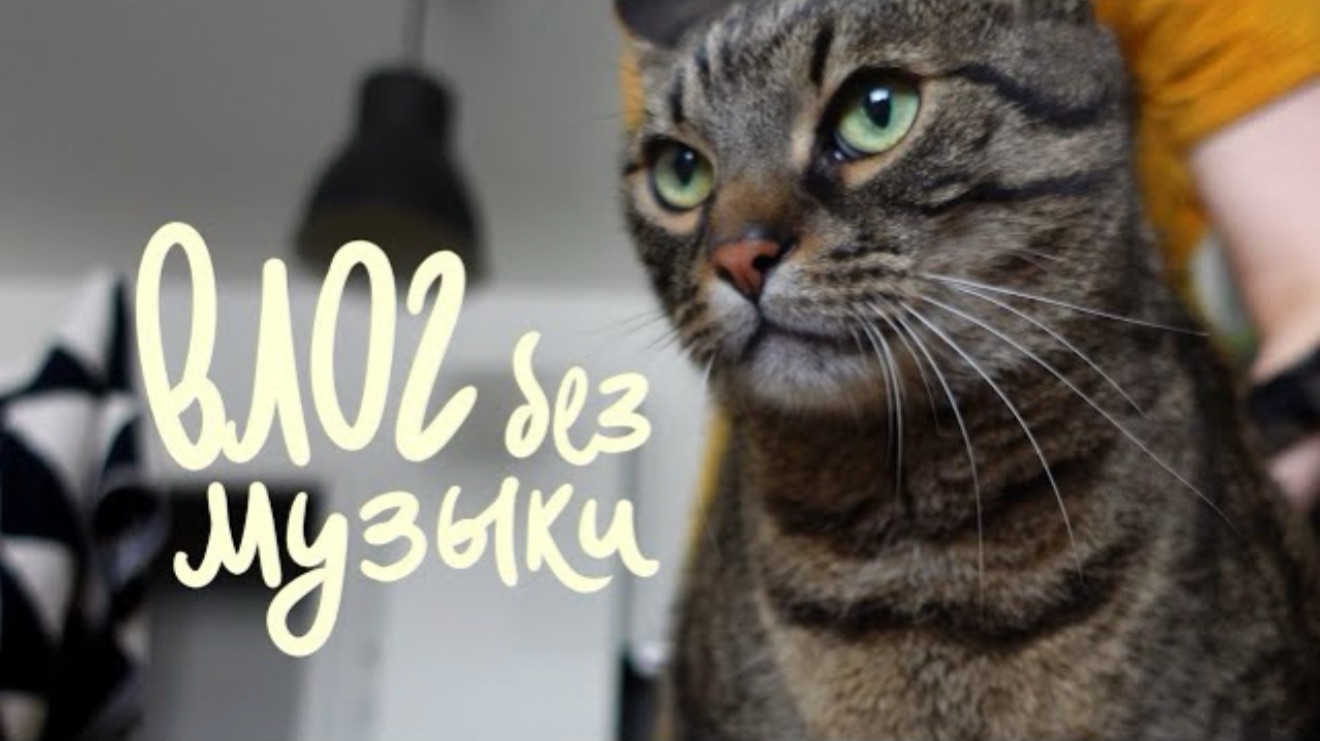 ИЮЛЬСКИЙ ВЛОГ 🍉🥕БЕЗ фоновой МУЗЫКИ