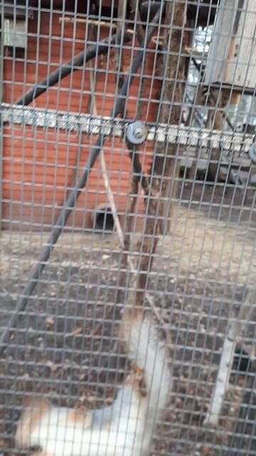 Плачет во мне ребенок