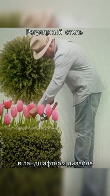 Регулярный стиль в ландшафтном дизайне