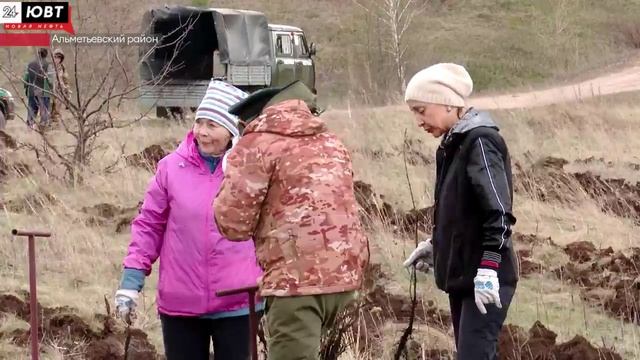 Больше 8 тысяч деревьев высадили в Альметьевском районе в рамках Всероссийской акции «Сад памяти»