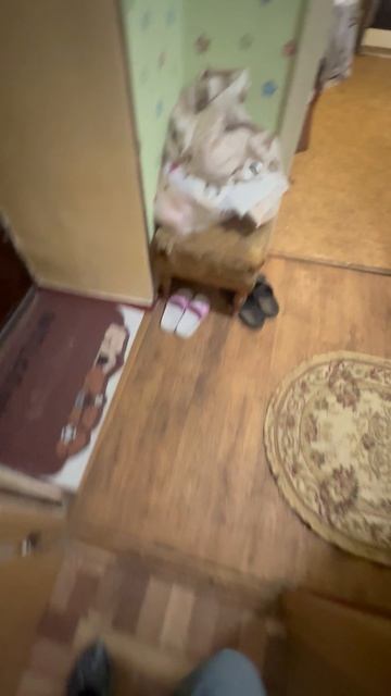 Севастополь, ул. Генерала Родионова, 1кк