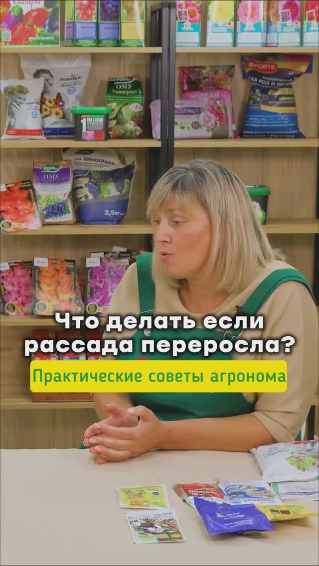 Если рассада вытягивается