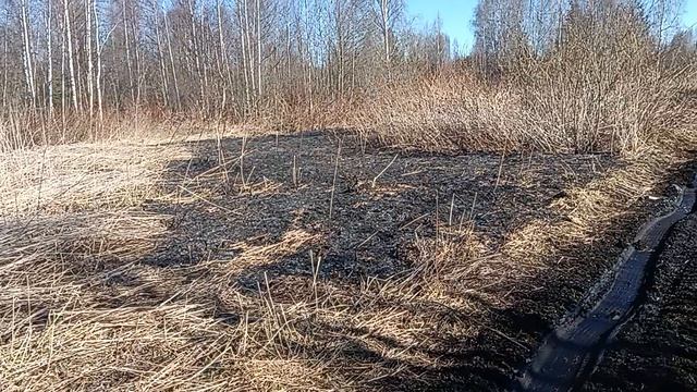 Таких граждан надо наказывать...