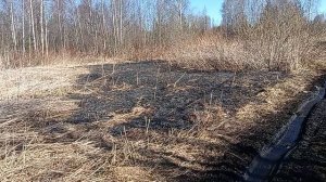 Таких граждан надо наказывать...