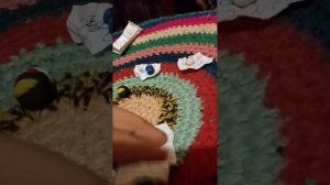 показываю свою коллекцию из пластилина 2 часть 2 коллекции анимации