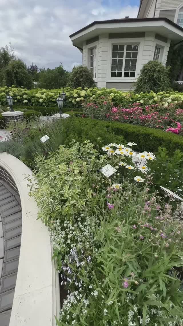 Ассортимент для пряноароматической клумбы