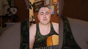 Армейский хит/Одуванчики/под гитару.