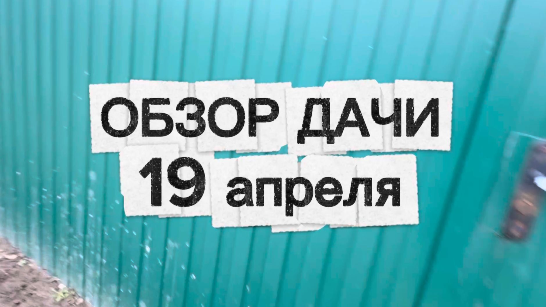 ОБЗОР ДАЧИ | Рассказываем, что у нас посажено