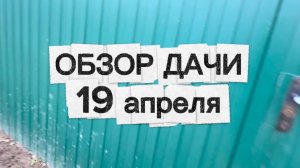 ОБЗОР ДАЧИ | Рассказываем, что у нас посажено