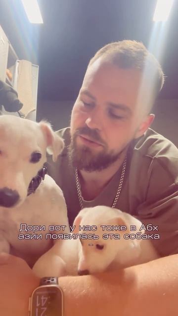 Mr.SOLOVEI | 🏔 Приехали из Москвы в Абхазию