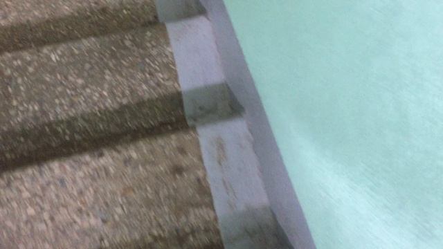 Теорема ЖКХ_Подъезд_2026.04.21_14-30