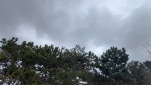 А у нас сегодня пасмурно ...