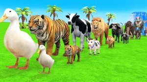 Мультики для детей. Большие и маленькие Животные: тигр и лев. Смотреть Мультики про животных.