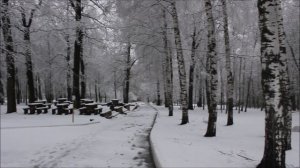 Апрельский снегопад - ЦПКиО Лакреевский лес - г.Чебоксары- 21.04.2026г.