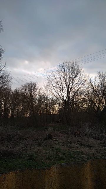 утро в ТриДевятино куролевстве