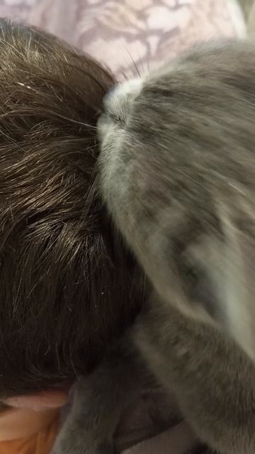 Личный парикмахер-профессионал