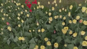 Деревенские будни/Сделали свет/Развесили ковры/и др. :)