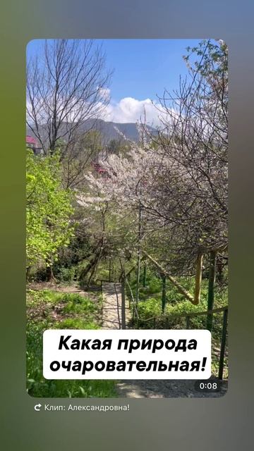 Вы только посмотрите на это !!!