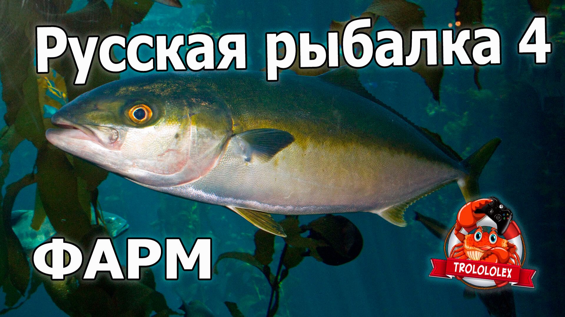 Русская рыбалка 4 Фарм на норвежском море