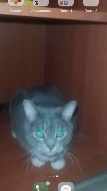 SVID_20260421_164841_1.mp4