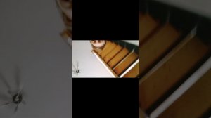 Ммммммммм идеальный вкус 😛!