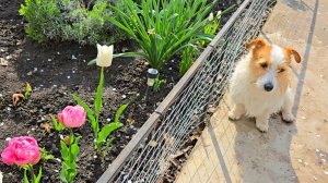 ✨️Жизнь без прикрас😃✨️Чётко как в аптеке👌✨️Поздравила дедушку🎁✨️