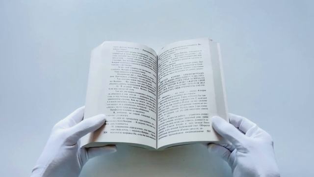 Овцы смотрят вверх