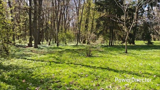 мир и Несвиж-две жемчужины Беларуси #влог#путешествия#машина#собака