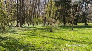 мир и Несвиж-две жемчужины Беларуси #влог#путешествия#машина#собака