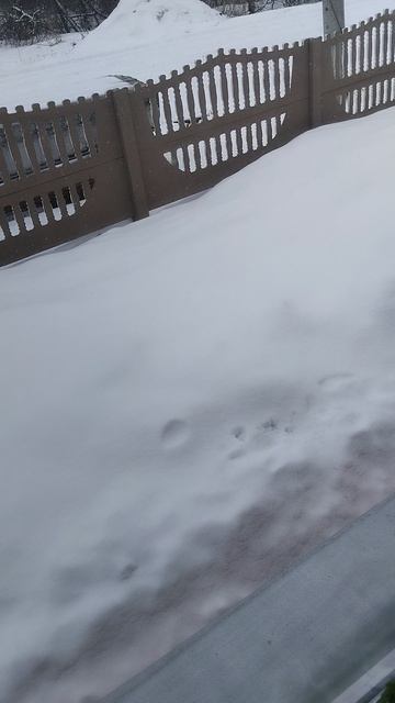 21-04-2026 Весна в Сибири!