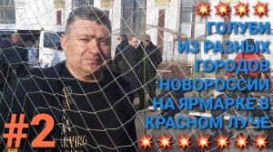 💥💥💥 Голуби из разных городов Новороссии на ярмарке в Красном Луче. Часть 2. Птичий рынок.
