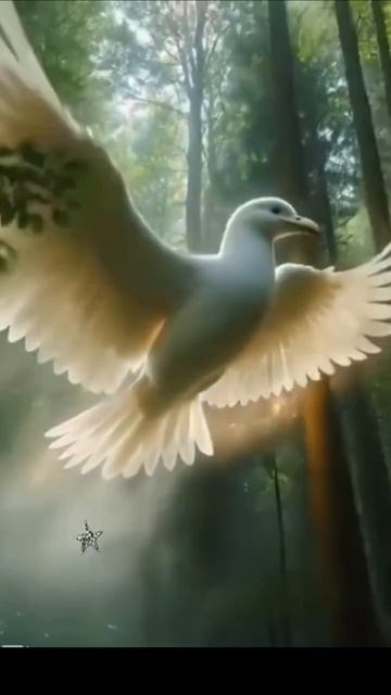 Uuid=198305D1-913B-44E8-9D19-53336603F912&code=001&library=1&type=3&mode=1&loc=true&cap=true