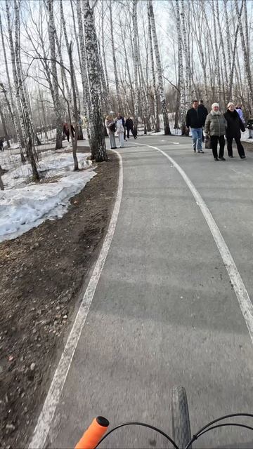 круг затюменского