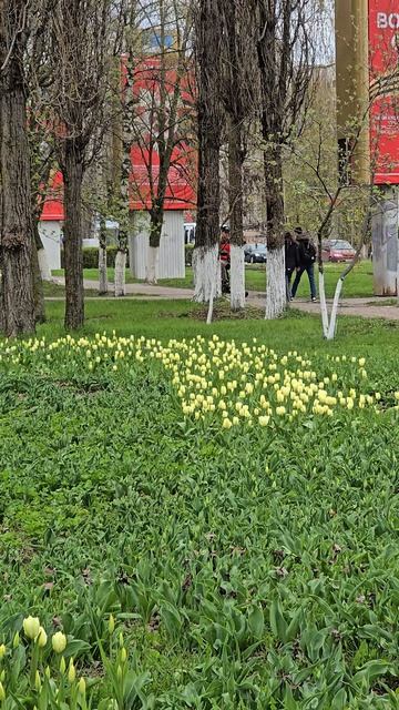В парке Южный, Белгород.