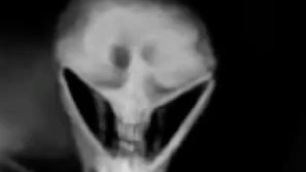 Что ж это, такое