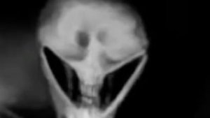 Что ж это, такое